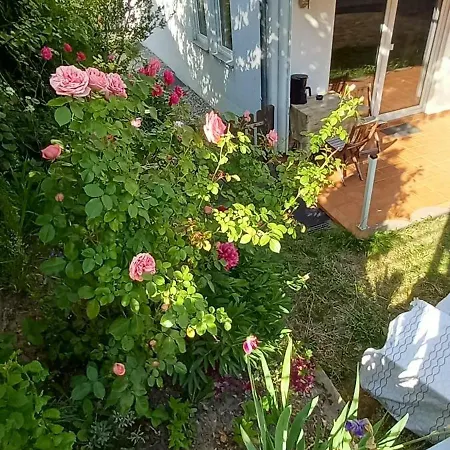 Mitten In Alt-seckbach فرانكفورت